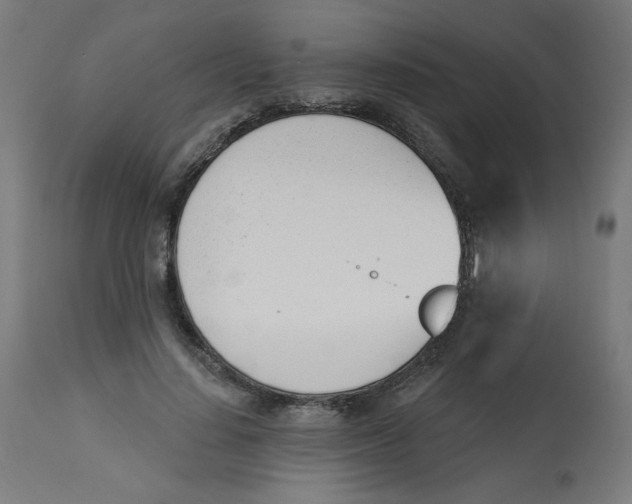 X0000112740644200909171202