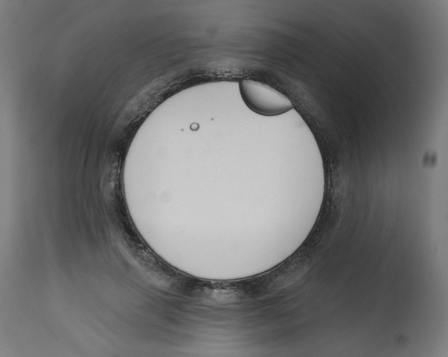 X0000112740645200909171202