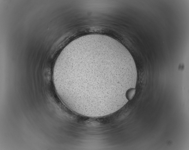 X0000112740648200909171202