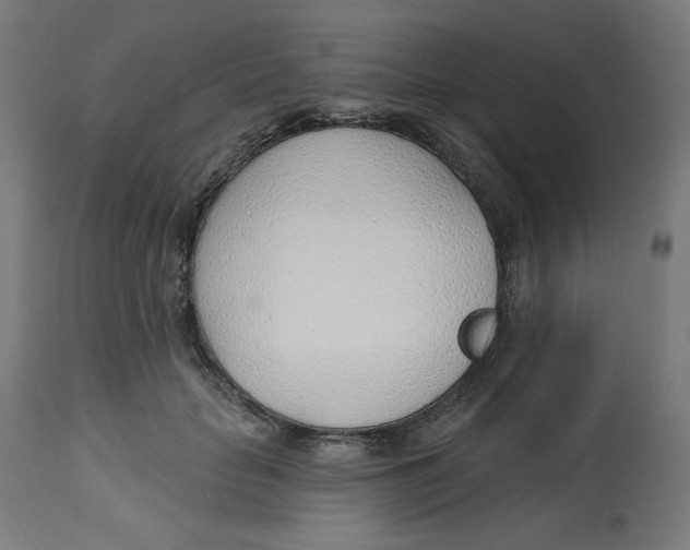 X0000112740653200909171202