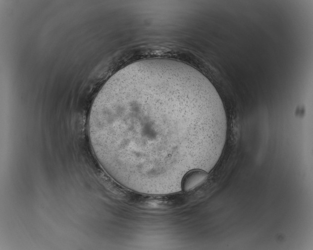 X0000112740657200909171202