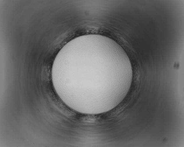 X0000112740661200909171202