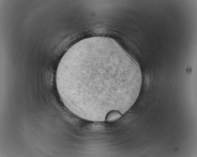 X0000112740668200909171203