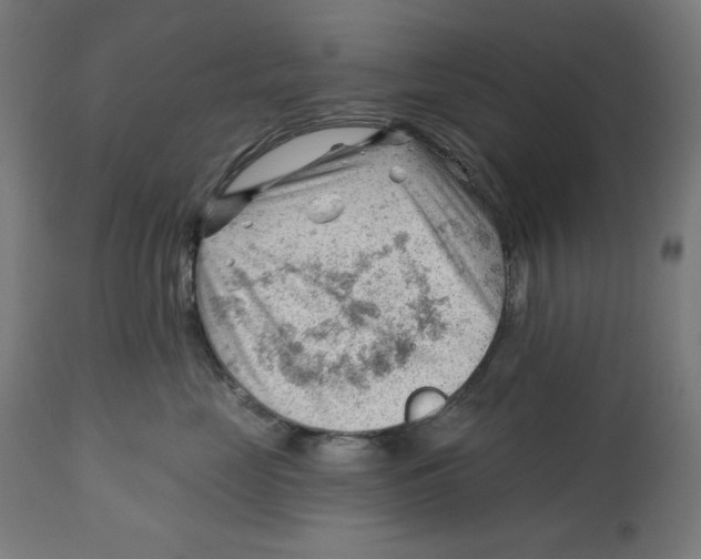 X0000112740669200909171203