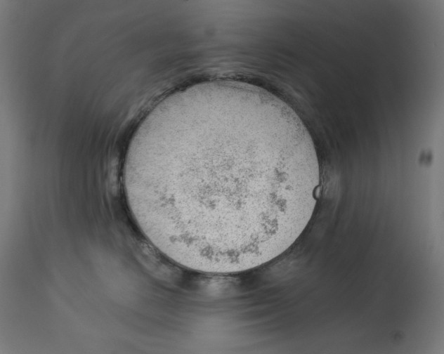 X0000112740670200909171203