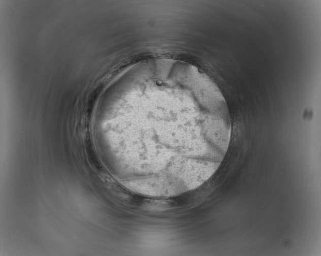 X0000112740671200909171203