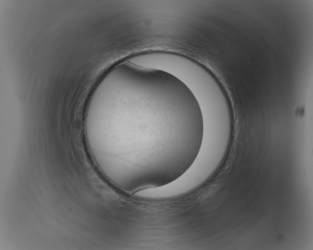 X0000112740673200909171202