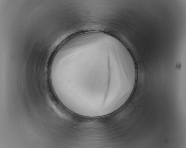 X0000112740674200909171202