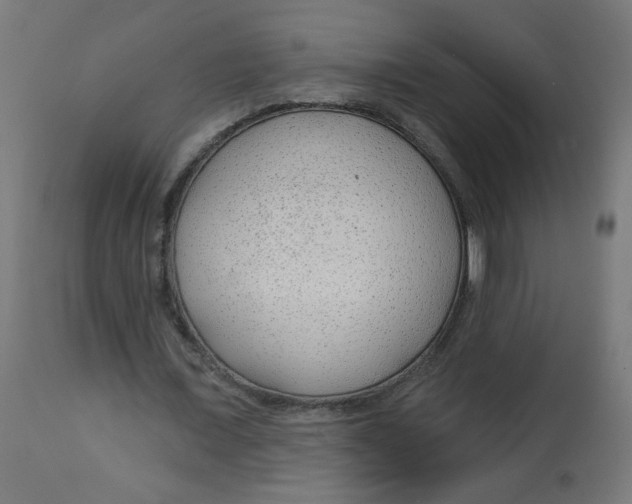 X0000112740675200909171202