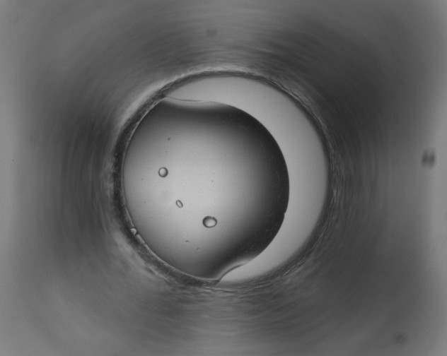 X0000112740676200909171202