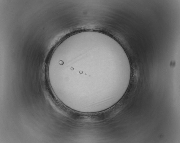 X0000112740678200909171202