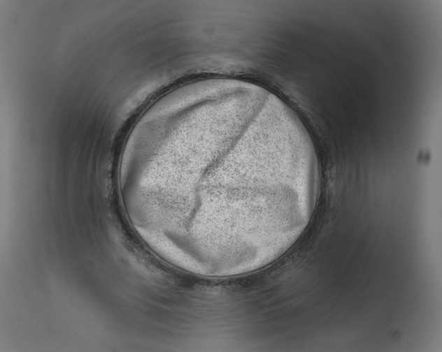 X0000112740679200909171202