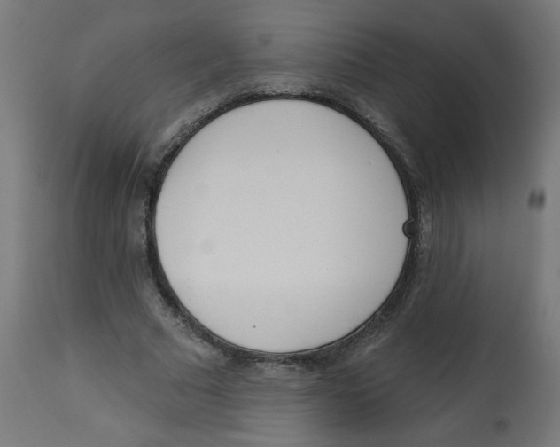 X0000112740681200909171202