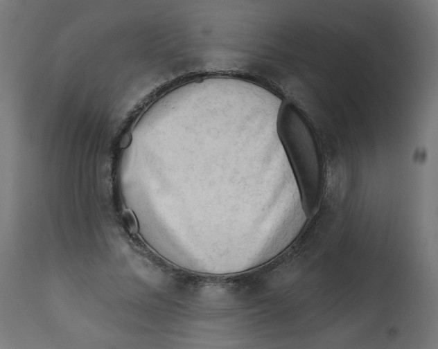 X0000112740684200909171202