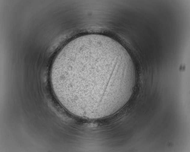 X0000112740687200909171202