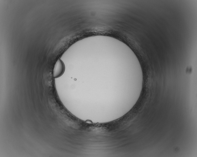 X0000112740689200909171202