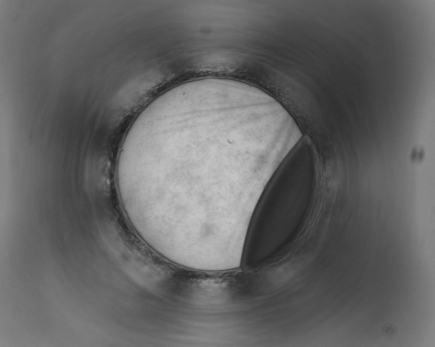 X0000112740692200909171201