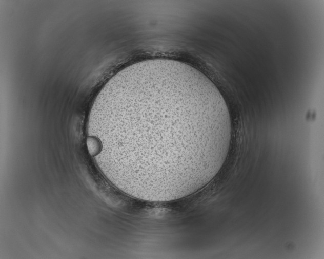 X0000112740695200909171201