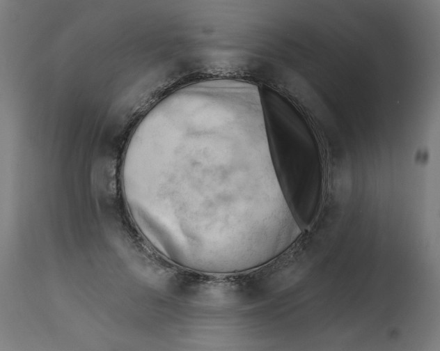 X0000112740696200909171201