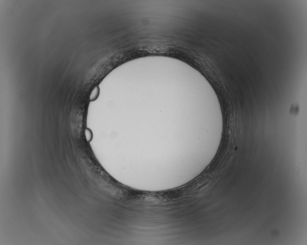 X0000112740697200909171201