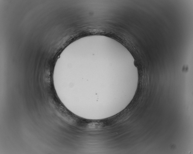 X0000112740700200909171201