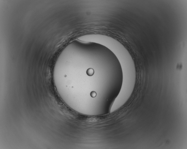 X0000112740704200909171201