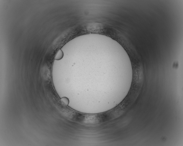 X0000112740705200909171201