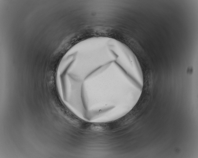 X0000112740706200909171201