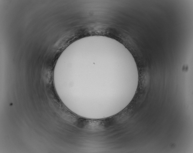 X0000112740709200909171201