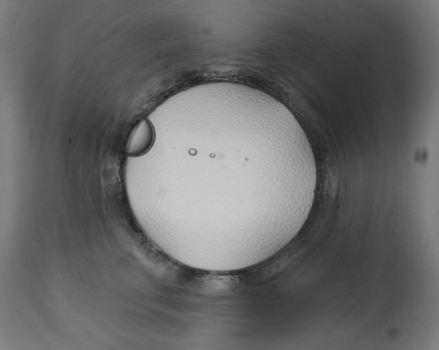 X0000112740711200909171201