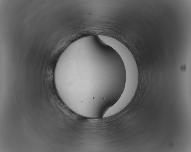 X0000112740713200909171201