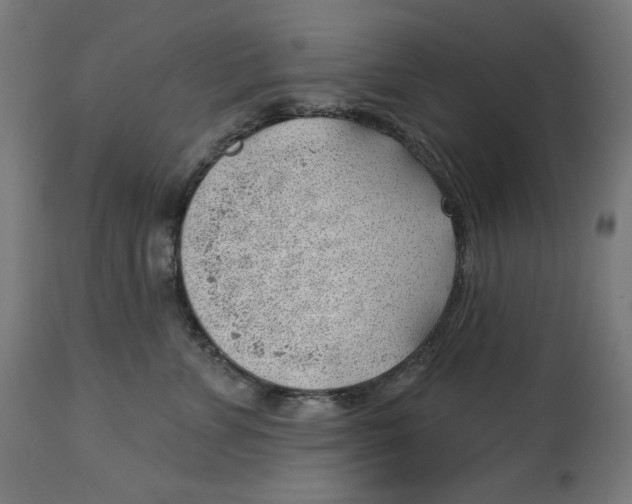 X0000112740715200909171201