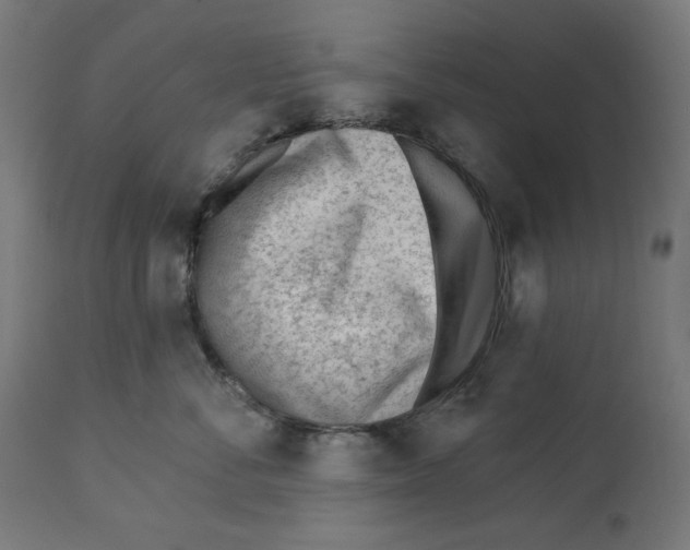 X0000112740716200909171201