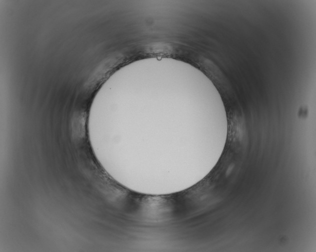 X0000112740717200909171201