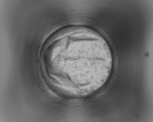 X0000112740721200909171200