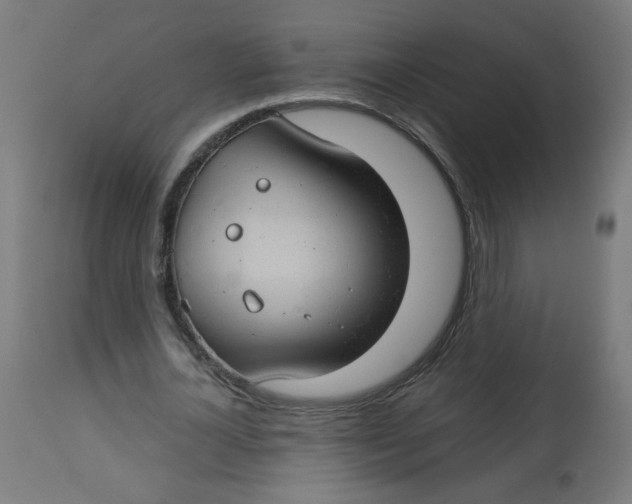 X0000112740724200909171200