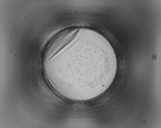 X0000112740727200909171200