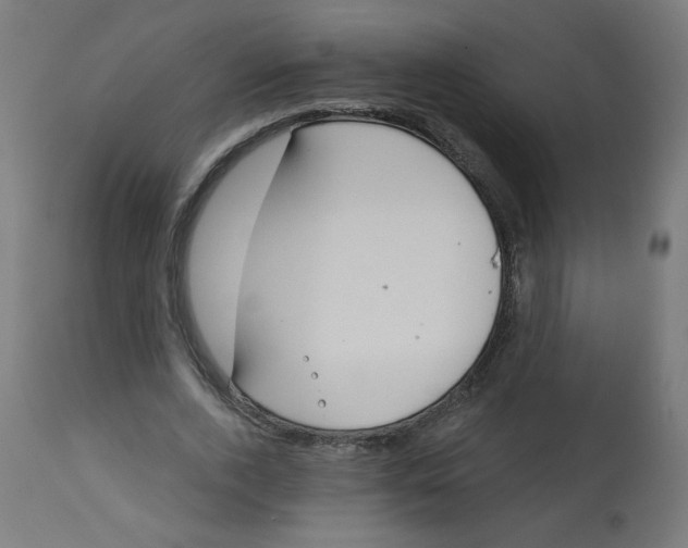 X0000112740728200909171200