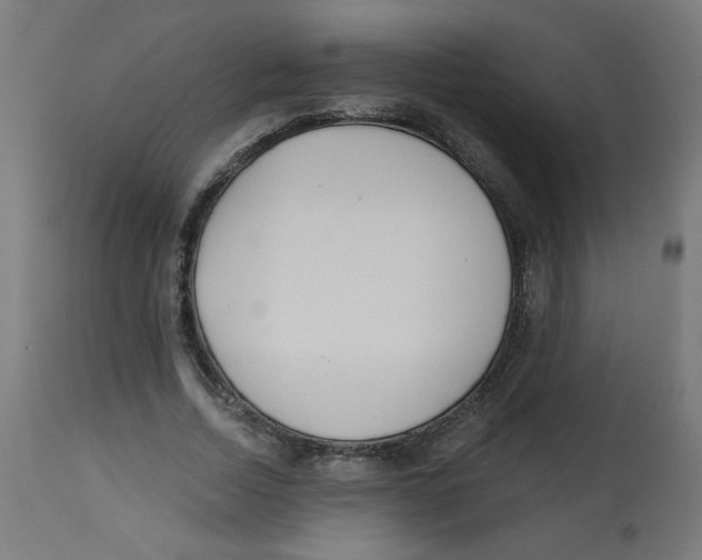 X0000112740730200909171200