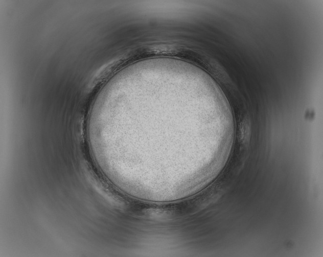 X0000112740733200909171200