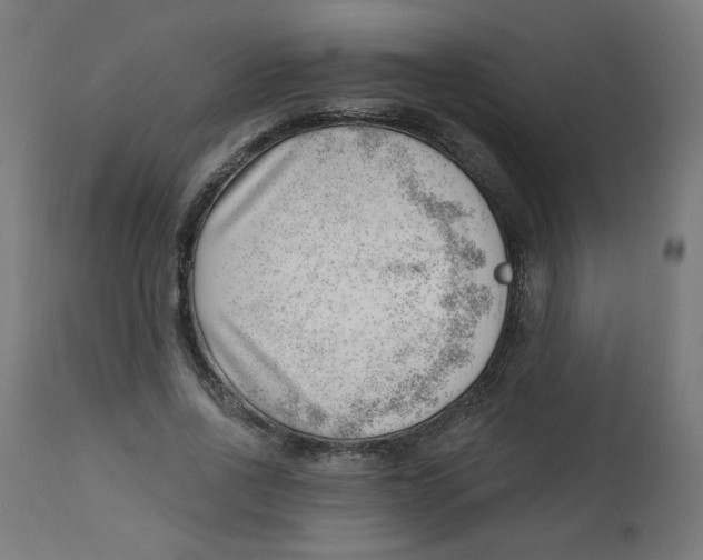 X0000112740734200909171201