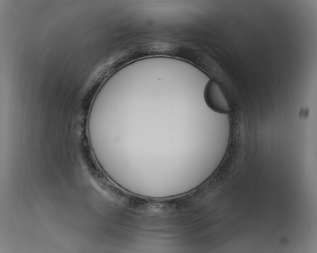 X0000112740736200909171201