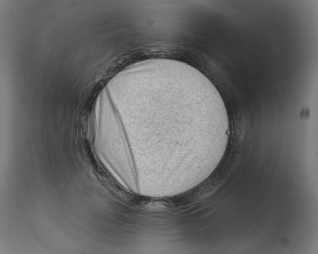 X0000112740751200909171201