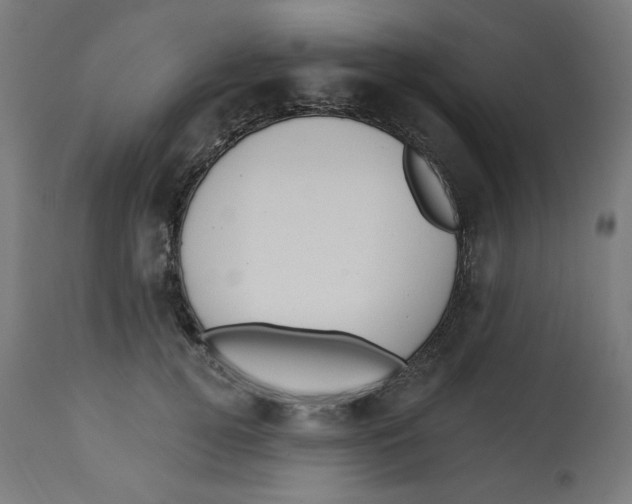 X0000112740752200909171201