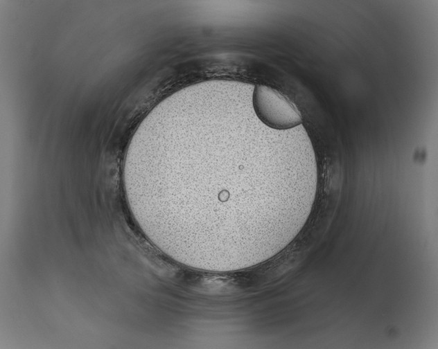 X0000112740753200909171201