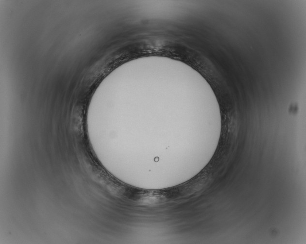 X0000112740754200909171201