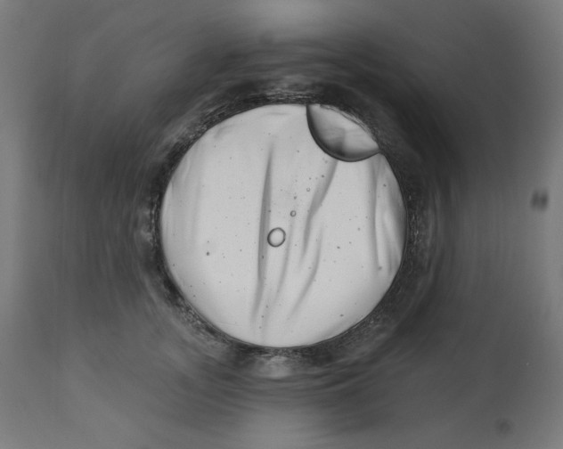 X0000112740755200909171201