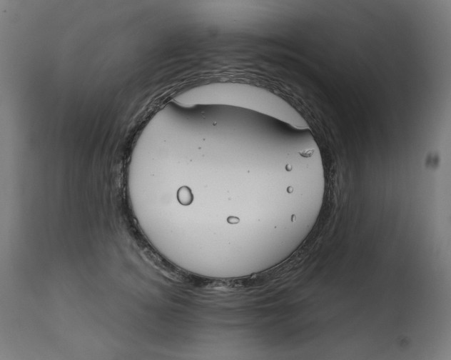 X0000112740756200909171201