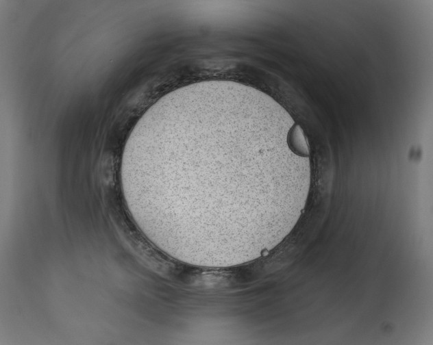 X0000112740758200909171201