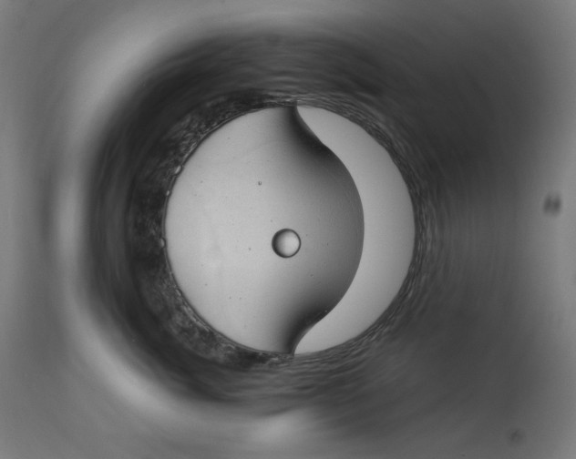 X0000112740764200909171201